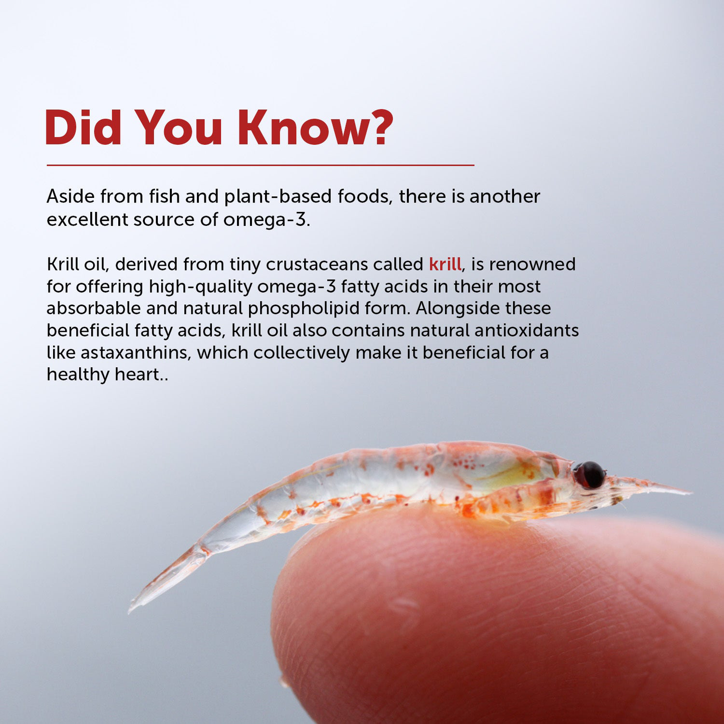 LESTOX® Deep-Sea Heart Omega With Rimfrost™ Krill Oil Capsules